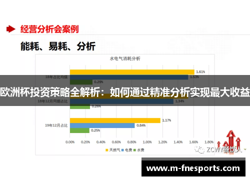 欧洲杯投资策略全解析：如何通过精准分析实现最大收益