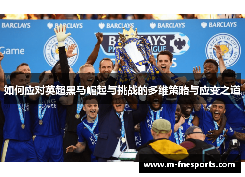 如何应对英超黑马崛起与挑战的多维策略与应变之道