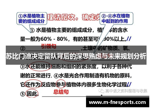 苏比门迪决定留队背后的深思熟虑与未来规划分析