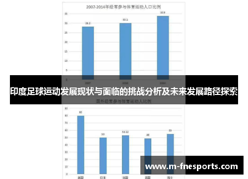 印度足球运动发展现状与面临的挑战分析及未来发展路径探索