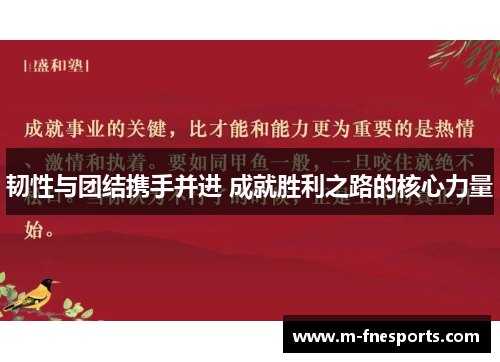 韧性与团结携手并进 成就胜利之路的核心力量